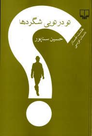 تو در تویی شگردها (هشت جستار داستان نویسی)