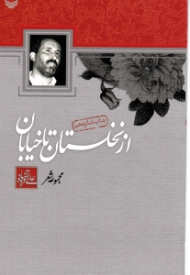 از نخلستان تا خیابان