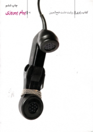 پیام پیروزی (کتاب راوی 9 - روایت دشت فتح المبین)