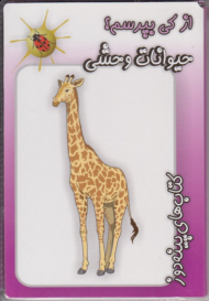 از کی بپرسم (حیوانات وحشی)