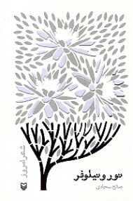 نور و نیلوفر