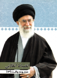 مجموعه ولایت 13 (انضباط انقلابی)