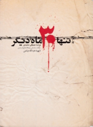 تنها 30 ماه دیگر (سرگذشت داستانی حجت الاسلام والمسلمین شهید عبدالله میثمی)