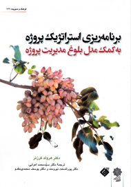 برنامه ریزی استراتژیک پروژه به کمک مدل بلوغ مدیریت پروژه (فرهنگ و مدیریت 129)