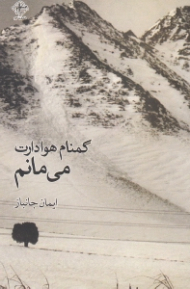 گمنام هوادارت می مانم