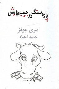 پاره سنگ در جیب هایش