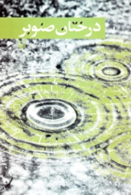 درختان صنوبر