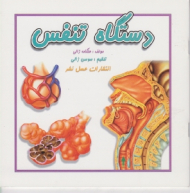 دستگاه تنفس