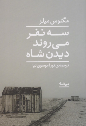 سه نفر می روند دیدن شاه
