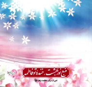 منبع نور بهشت، خنده تو فاطمه (نمی از دریای عظمت زهرا سلام الله علیها)