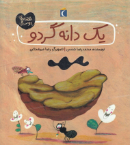 یک دانه گردو