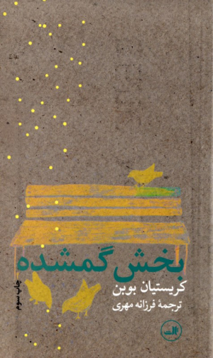 بخش گمشده