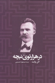 در هزارتوی نیچه