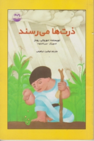 ذرت ها می رسند