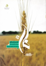 نان در اسلام (بررسی استراتژی اسلام در چرخه نان از تولید تا مصرف)