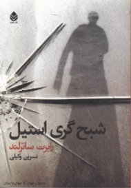 شبح گری استیل