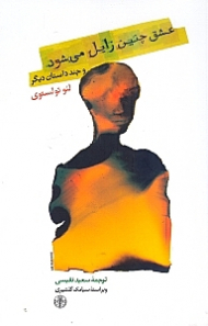 عشق چنین زایل میشود و چند داستان دیگر