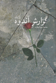 گزارش اندوه