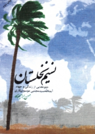 نسیم نخلستان (جلوه هایی از زندگی آیت الله سید مجتبی موسوی لاری)