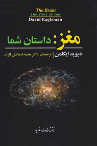 مغز: داستان شما