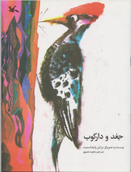 جغد و دارکوب