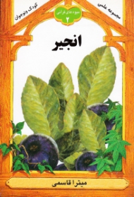 انجیر (میوه های قرآنی 2)