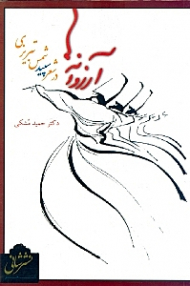 آرزوانهها در شعر سپید شمس تبریزی