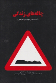 چاله های زندگی (آسیب شناسی 20 چالش در سبک زندگی)
