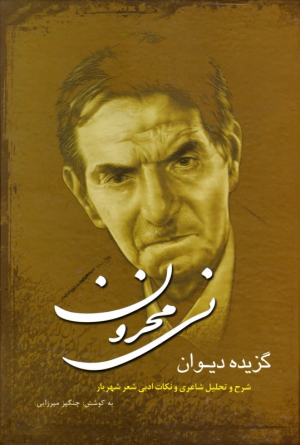نی محزون (گزیده دیوان - شرح و تحلیل شاعری و نکات ادبی شعر شهریار)