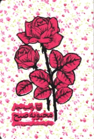 محبوبه صبح (زندگینامه داستانی محبوبه دانش)