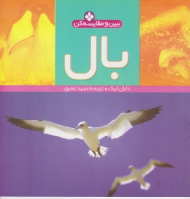 بال (ببین و مقایسه کن)