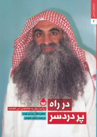 در راه پر دردسر