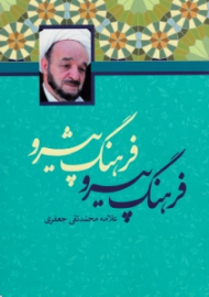 فرهنگ پیرو فرهنگ پیشرو