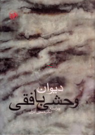 دیوان وحشی بافقی