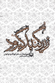 زیر گنبد کبود (صورخیال در شعر کودک و نوجوان)