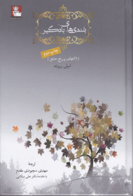 بلندی های بادگیر (تا انتهای پنج رنج عشق - رمان های برتر کلاسیک جهان 1)