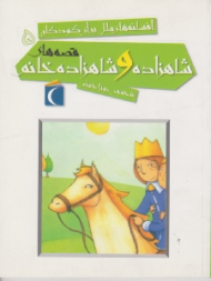 قصه های شاهزاده و شاهزاده خانم (افسانه های ملل برای کودکان 5)