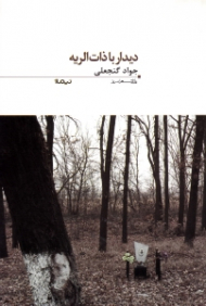 دیدار با ذات الریه