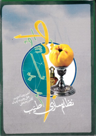 نظام سازی طیب (از مجموعه کتب ساختاری حوزه جامعه)