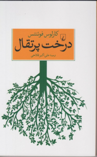 درخت پرتقال