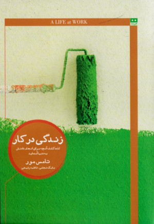 زندگی در کار (لذت کشف آنچه برای انجام دادنش به دنیا آمده اید)