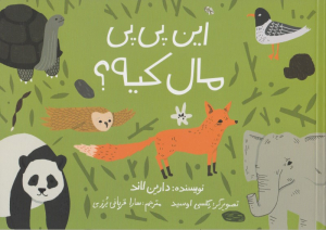 این پی پی مال کیه؟