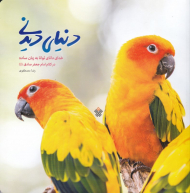 دنیای دیدنی