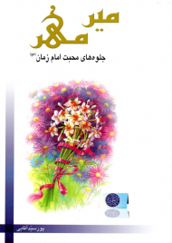 میر مهر (جلوه های محبت امام زمان)