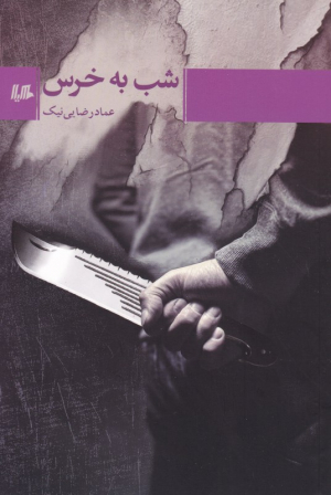شب به خرس