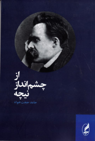 از چشم انداز نیچه
