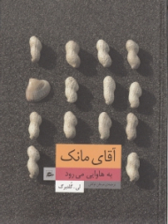 آقای مانک به هاوایی می رود