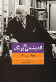 اندیشه یونگ