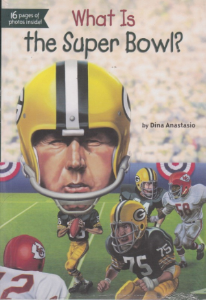 WHAT IS SUPER BOWL?