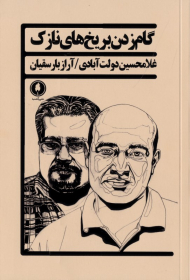 گام زدن بر یخ های نازک